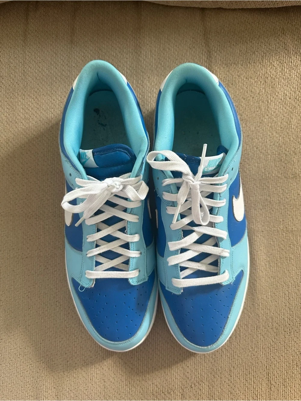 Nike Dunk Low Retro QS ‘Argon’ 2022 DM0121-400 Men’s Size 15 Gently Used